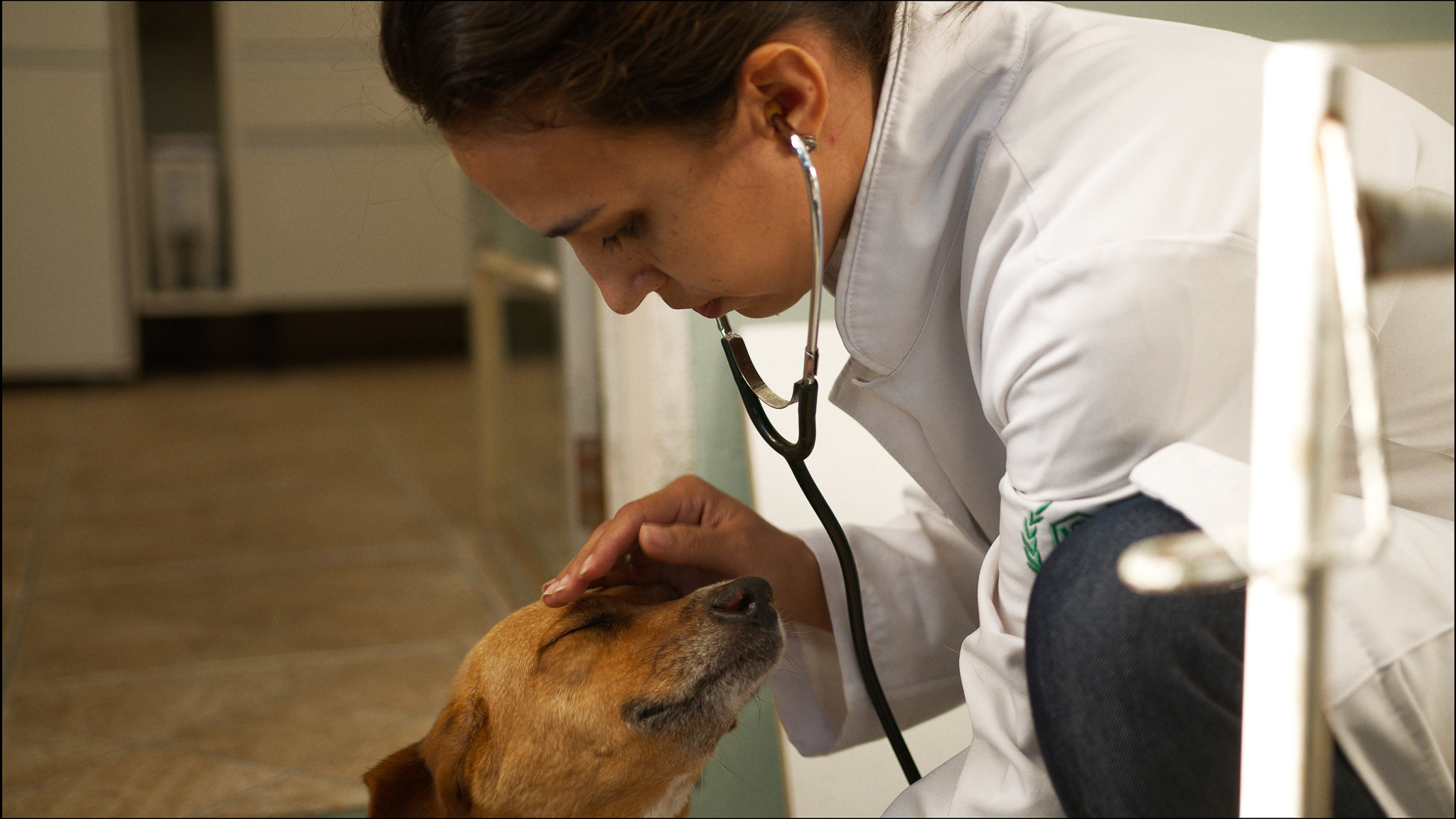 Maiara Padilha dos Santos - Websérie Entre Sementes & Sonhos, 