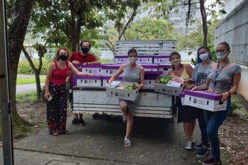 [:pt-br]Famílias empobrecidas recebem cestas de alimentos orgânicos da Rede IVG[:]
